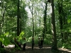 Waldseilgarten Freiburg (23.5.2010)