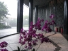 Singapur Crowne Plaza Changi Airport Hotel