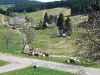 10.4.2011 Radausflug am Titisee